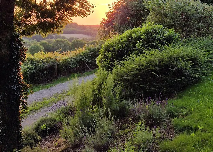 De Rigoulac Bouyssounouse